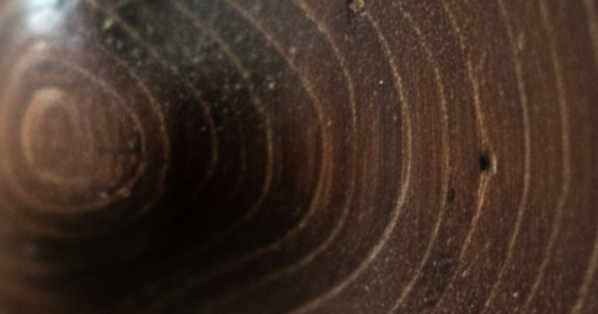 How to Identify Antique Furniture Wood: Visual Field Guide
