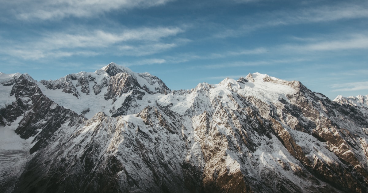 New England's Most Common Trees