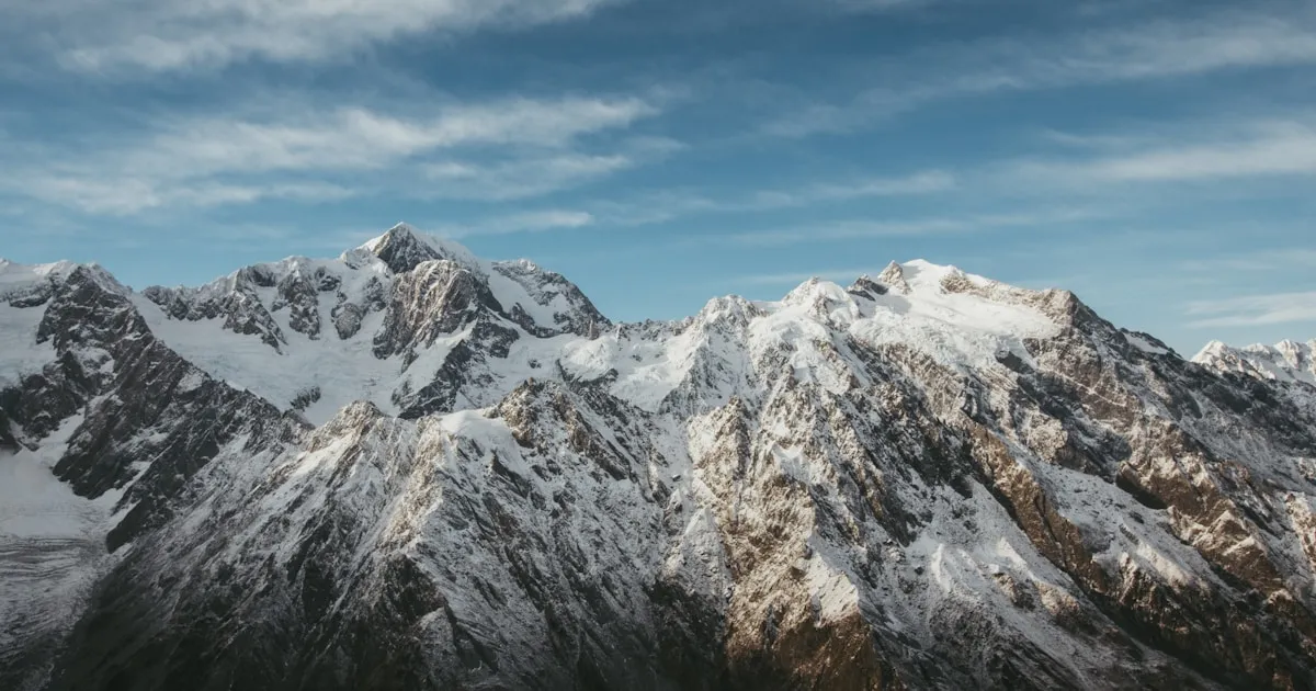New England's Most Common Trees