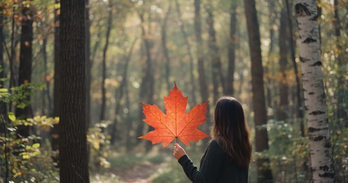 Tree Identification for Beginners: A Complete Guide