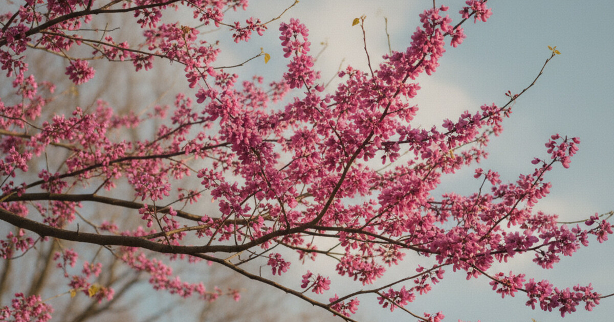 Trees With Pink Flowers: 10 Species to Know