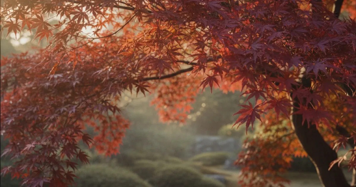 Trees With Red Leaves: Year-Round and Fall Color Guide