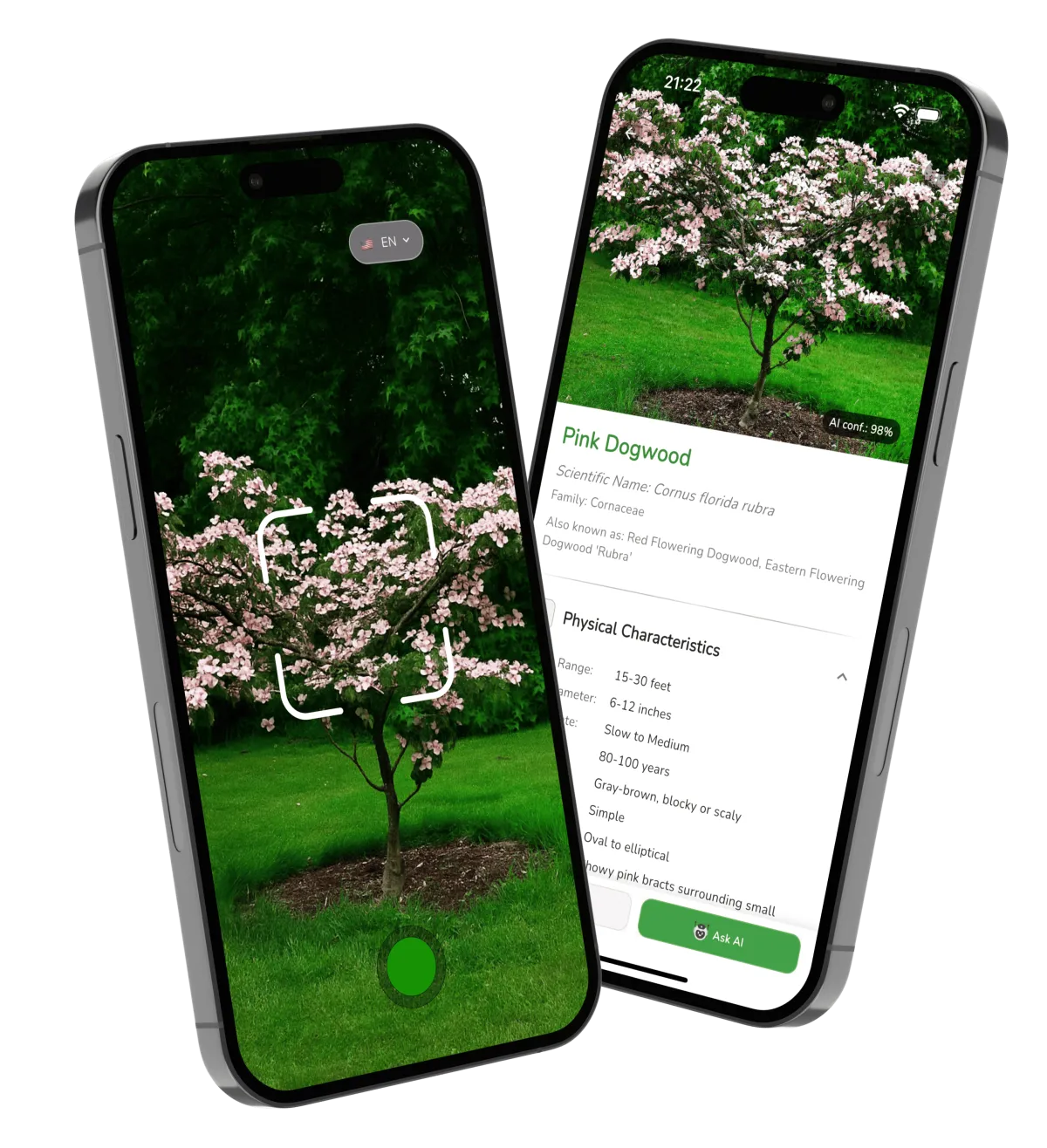 Tree Identifier app main screenshot showing tree identification results