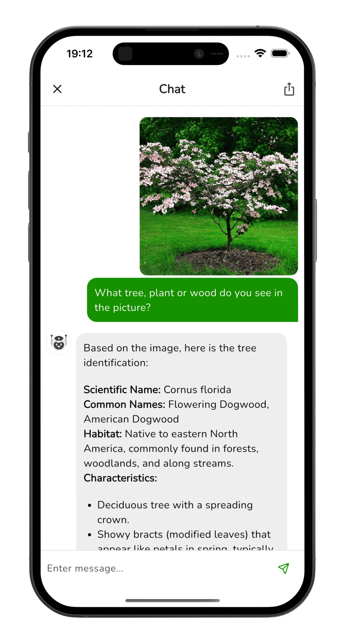 Tree Identifier app screenshot - tree identification example 1
