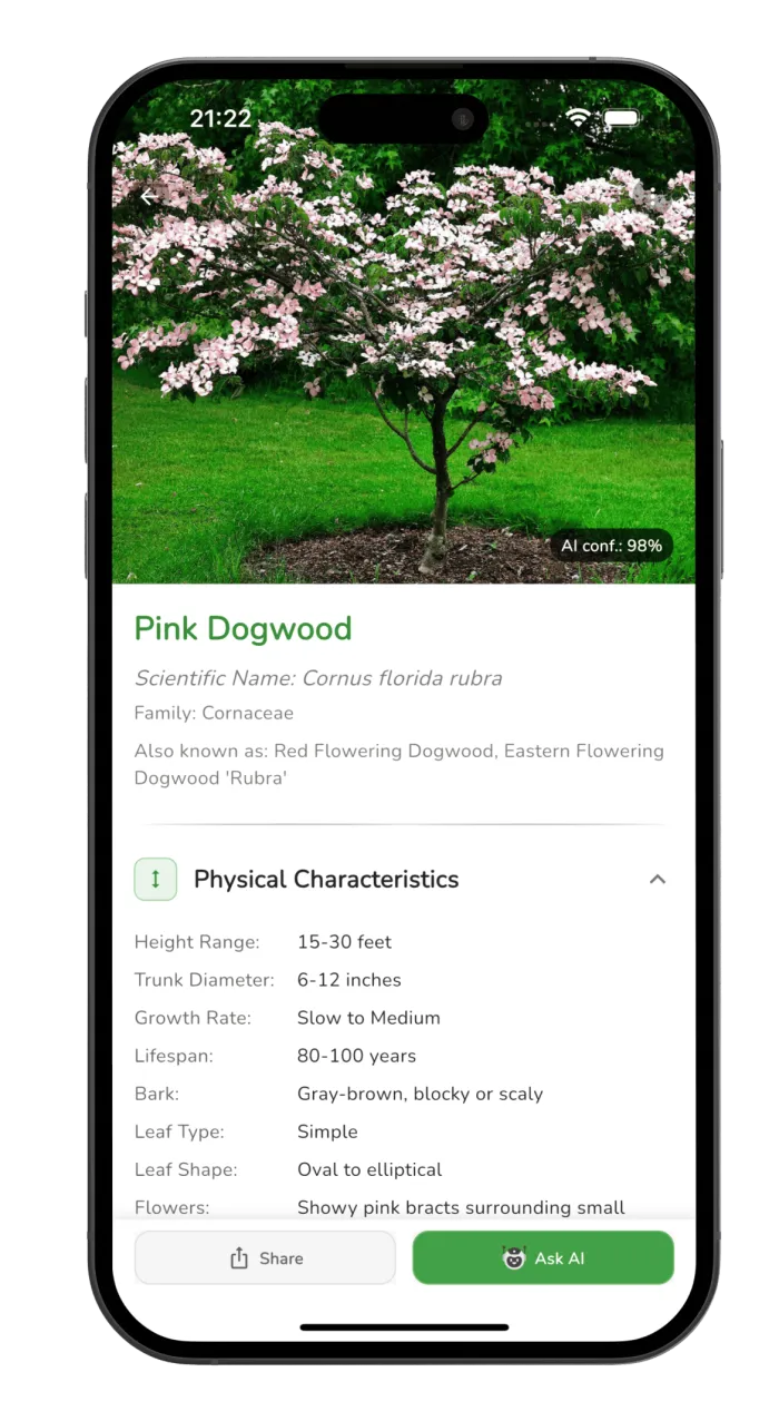 Tree Identifier app screenshot - tree identification example 1
