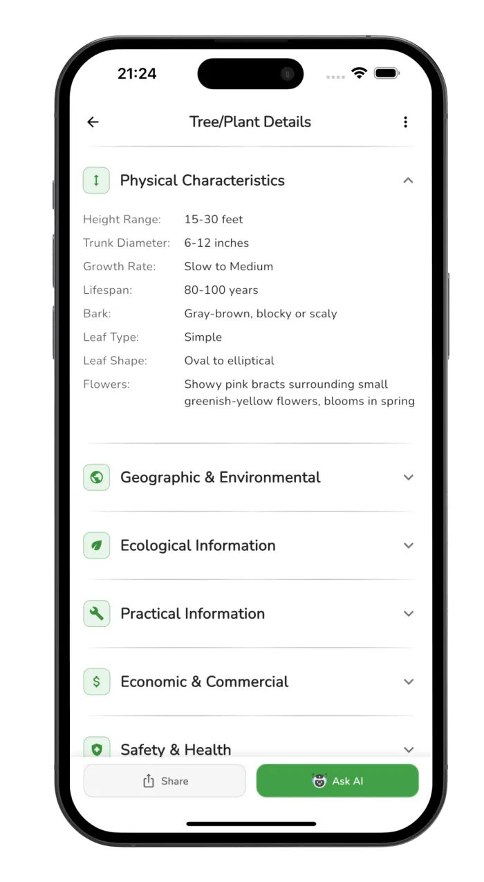 Tree Identifier app screenshot - tree identification example 2