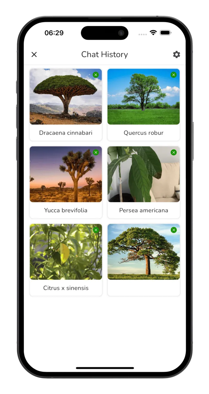 Tree Identifier app screenshot - tree identification example 6
